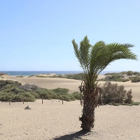 Appartamento Confortevole Playa Del Ingles