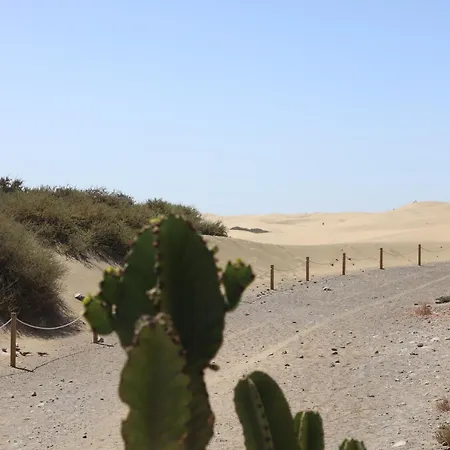 Confortevole Playa Del Ingles Appartamento Maspalomas (Gran Canaria)