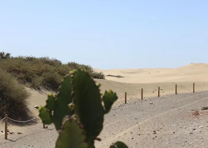Confortevole Daire Playa del Ingles (Gran Canaria)