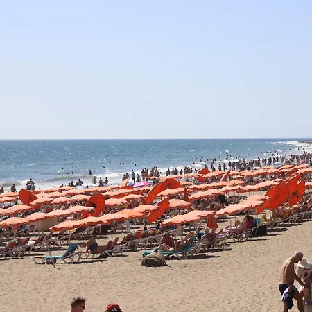 Daire Confortevole Playa del Ingles (Gran Canaria)