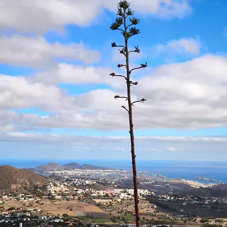 Confortevole アパート